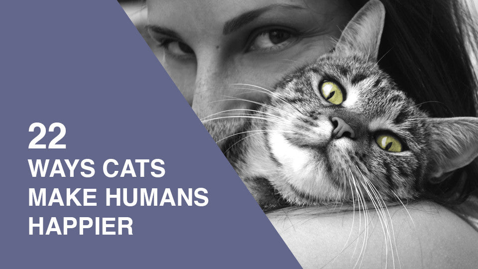 22 Ways Cats Make Us Happier And Healthier