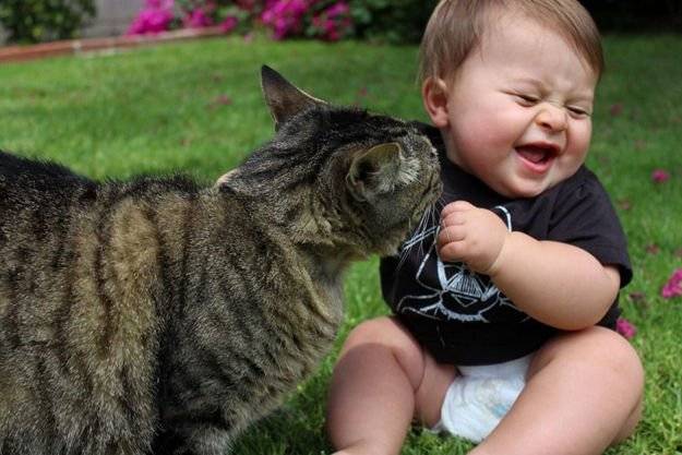 Why Cats are Purrfect Pets for Kids