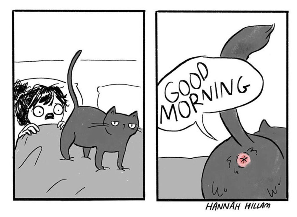 5 Hilarious Cat Comics