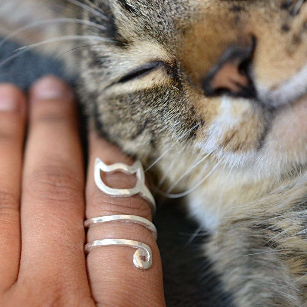 Sterling Silver Spiral Cat Ring from Catify.co. Image with cat, JIMMY