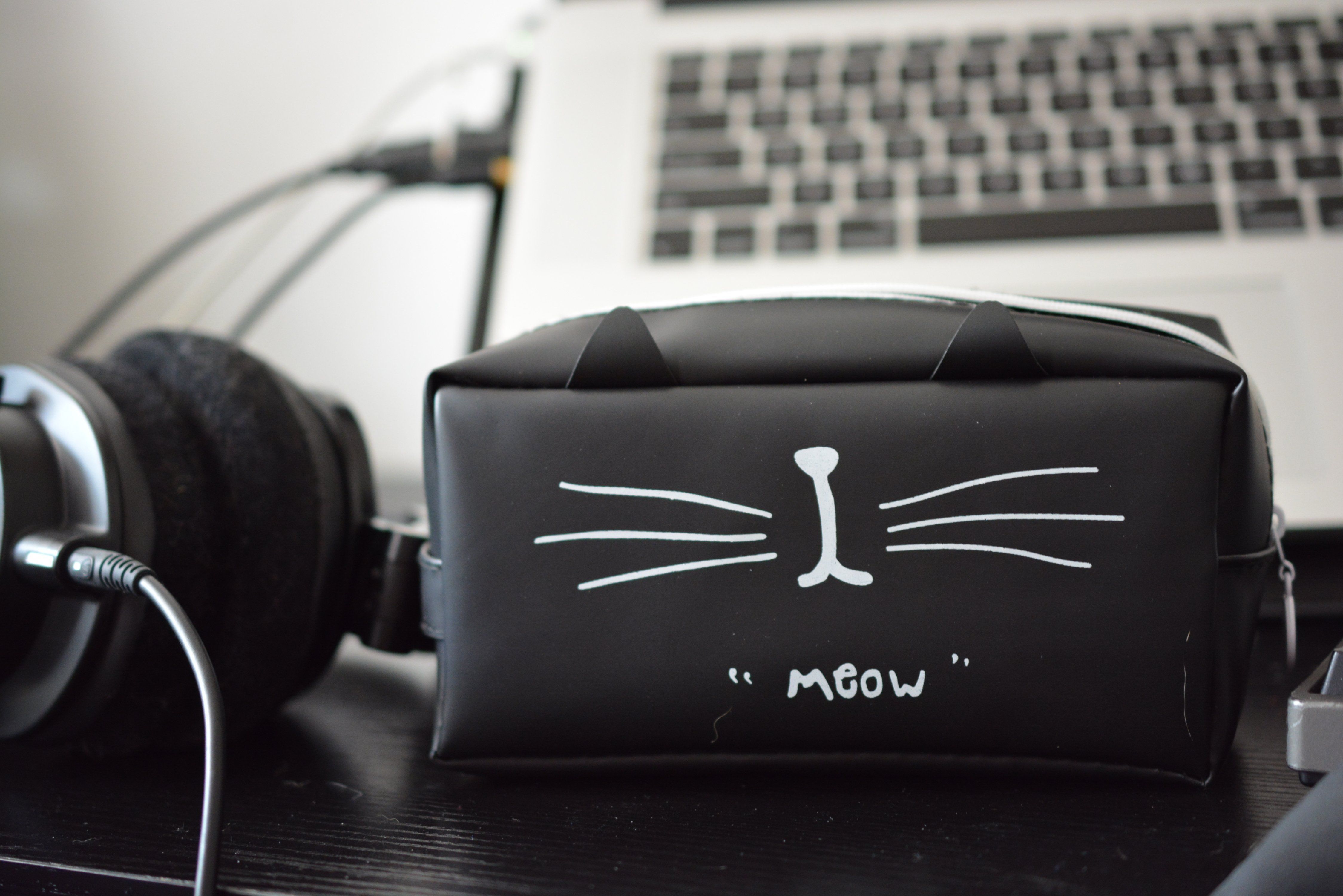 Cute Cat Pencil Case on Desk with laptop and headphones