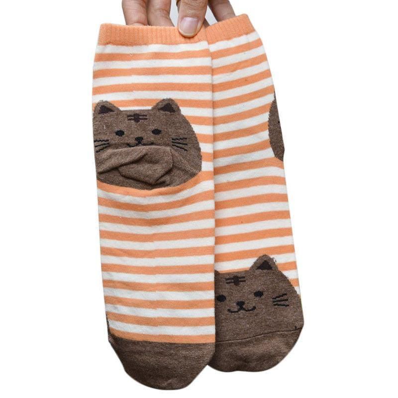 Orange Striped Socks with Brown Fat Cat