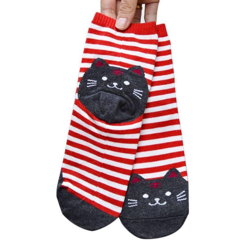 Red Striped Socks with Black Fat Cat