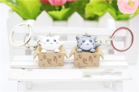 Cat In A Box Keychain