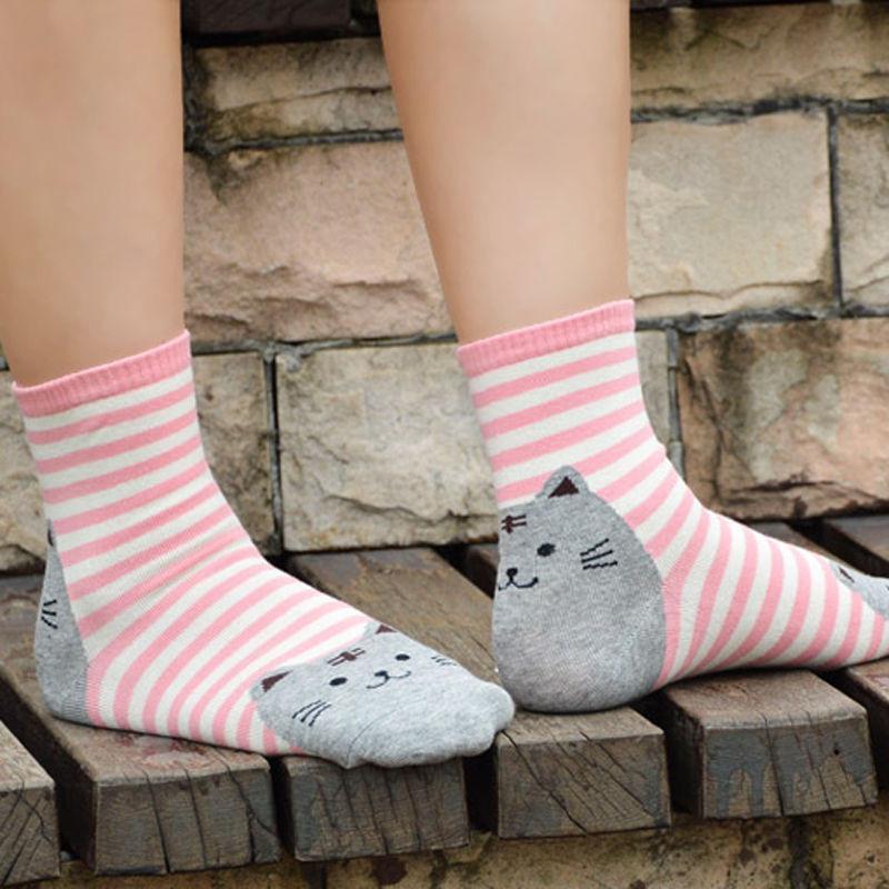 Modeling Pink Striped Fat Cat with Grey Face 